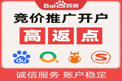 百度竞价广告的创意与执行：成功案例剖析